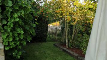 A backyard with a grassy lawn, a wooden fence, and a white umbrella.