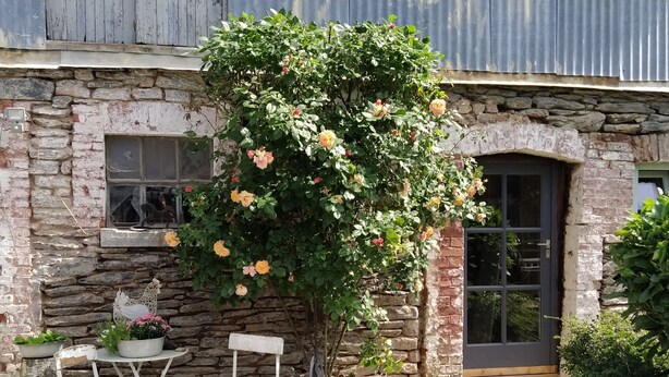 Un bâtiment rustique en pierre, avec un rosier grimpant le long du mur, une porte en bois et un petit espace extérieur aménagé avec une table et des chaises.