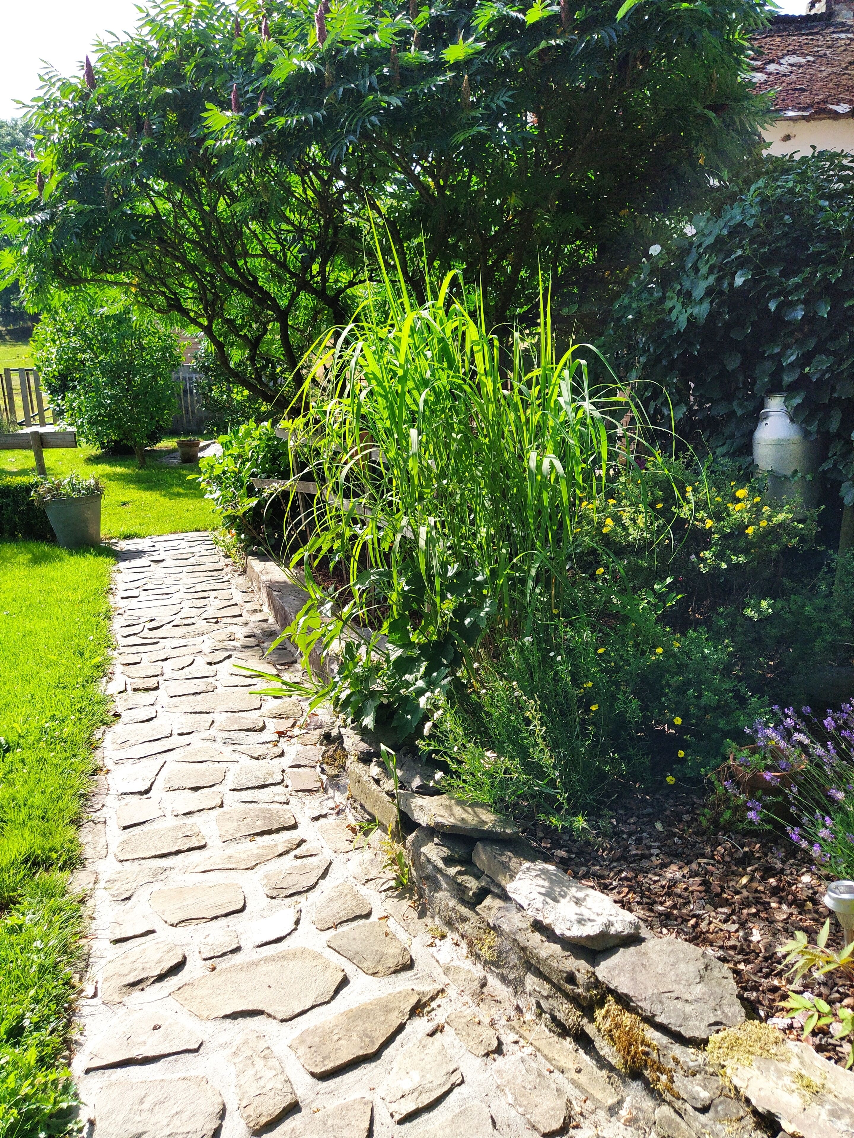 Un sendero de piedra que atraviesa un jardín con diversas plantas y una gran maceta de metal al fondo.