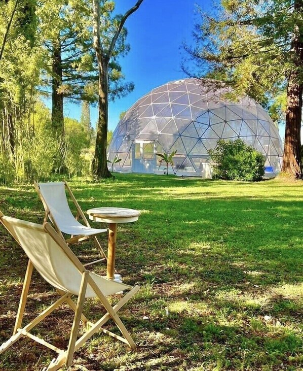 Traditioneel appartement, 1 slaapkamer | Uitzicht op het park