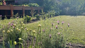 A garden with a wooden fence, various plants, and a clear blue sky.