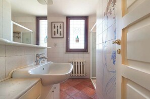 Combined shower/bathtub, bidet