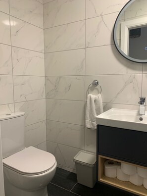 City House | Bathroom - 13 Eyre Square Lane (Galway)