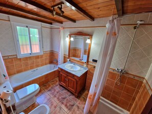 Combined shower/tub, hair dryer, bidet, towels