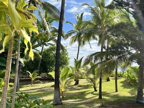 Property grounds - Villa JOLIE CREOLE, direct access to the beach (Saint Paul)