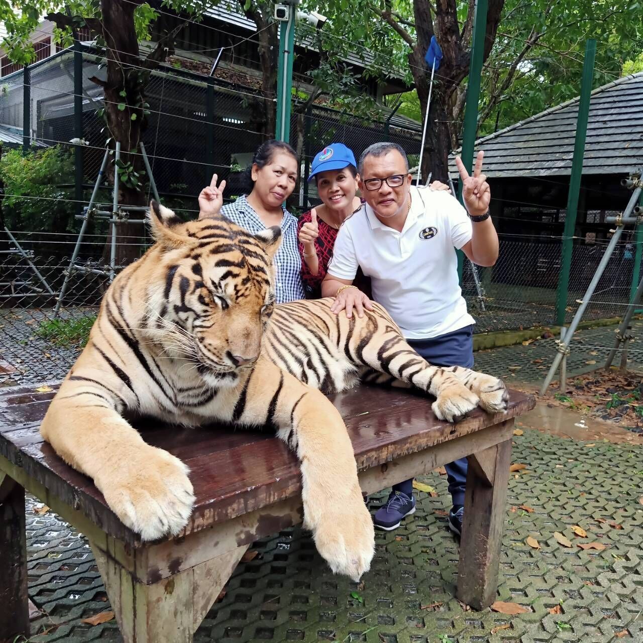 Photo - Nanai 2 Residence Patong Phuket