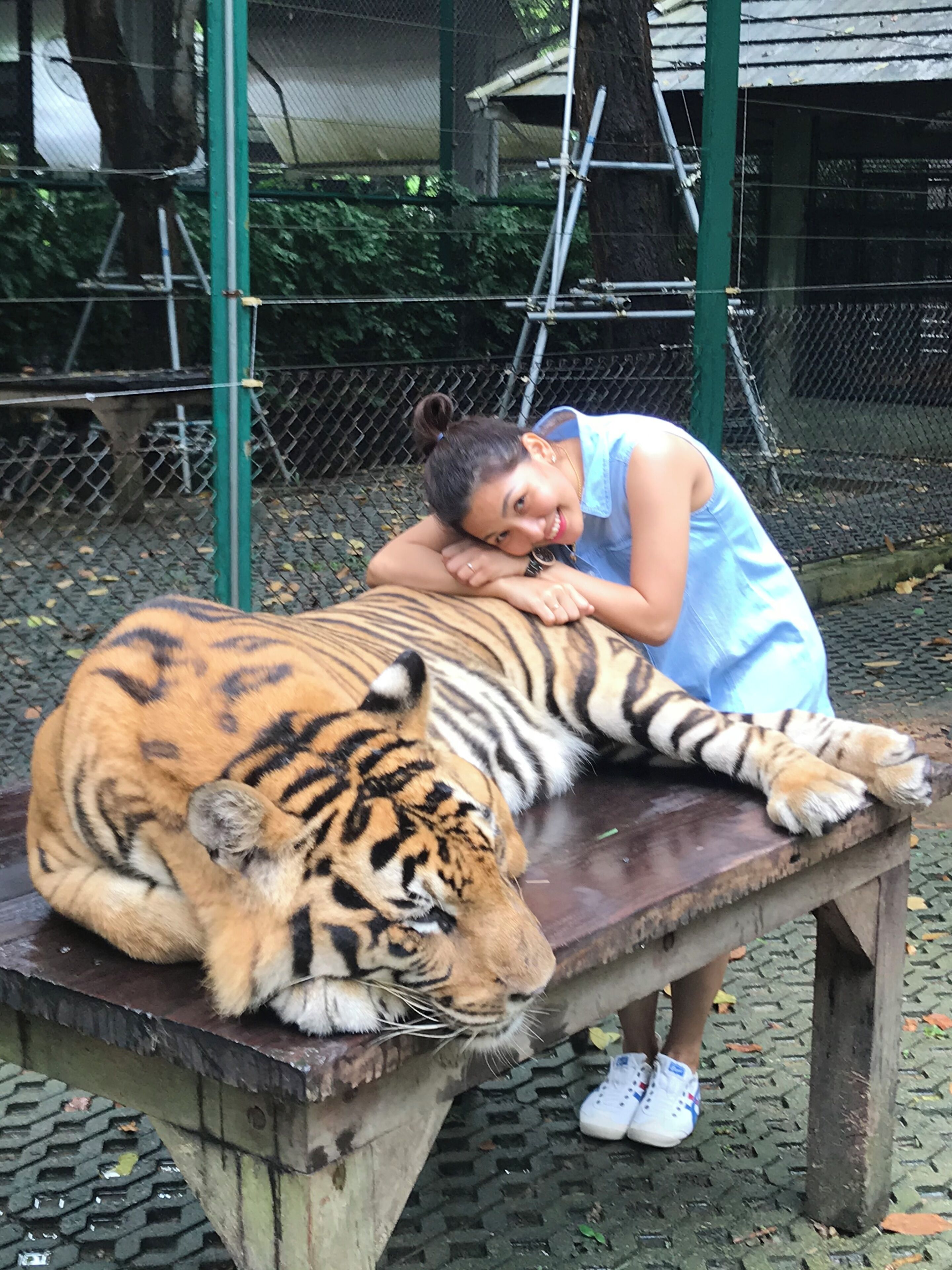 Photo - Nanai 2 Residence Patong Phuket