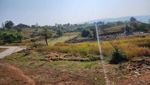 A rural landscape with a dirt path, scattered trees, and a small structure in the distance.