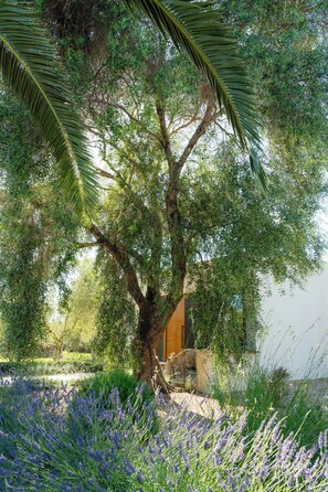 Exterior - Agroturismo Malbuger Nou - Adults only (Mahón)