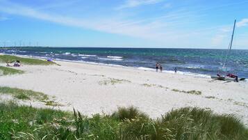 Playa en los alrededores