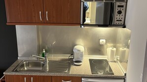 A compact kitchen with wooden cabinets, a stainless steel sink, a Bosch coffee maker, a microwave, and a white refrigerator. - León Apartments. 20 years of success. Centrally located and recently air-conditioned (León)