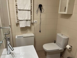 Shower, hair dryer, towels, soap - León Apartments. 20 years of success. Centrally located and recently air-conditioned (León)