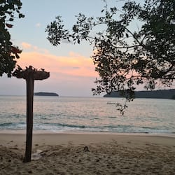 TV màn hình phẳng