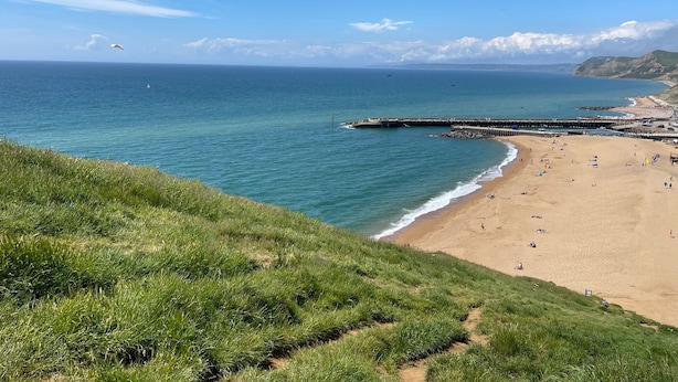 Una playa costera con un muelle que se adentra en el mar, colinas cubiertas de hierba en primer plano y cielos despejados.