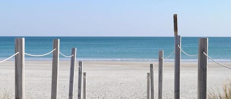 Playa en los alrededores