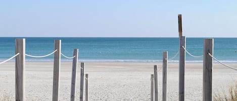 Vlak bij het strand