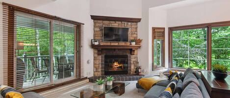 Smart TV, fireplace, stereo