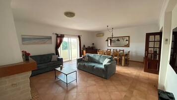 TV, fireplace, table tennis