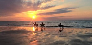 On the beach, sun loungers