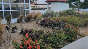 Apartment | Property grounds