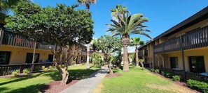 Condo, 1 Bedroom | Property grounds