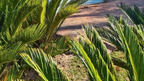 3 outdoor pools - Hotel Recanto Da Serra (Ouro Preto)