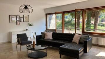 Smart-TV, Kamin, Bücher, Stereoanlage