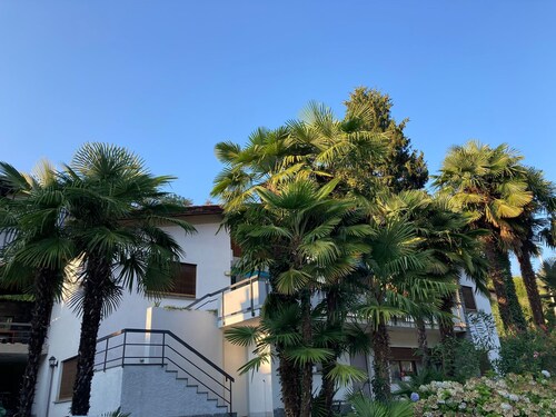 Unterkunft Unter Palmen 