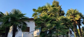 Unterkunft Unter Palmen