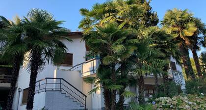 Unterkunft Unter Palmen