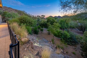 Property grounds - Luxury Home Overlooking Camelback Mountain in Scottsdale (Paradise Valley)