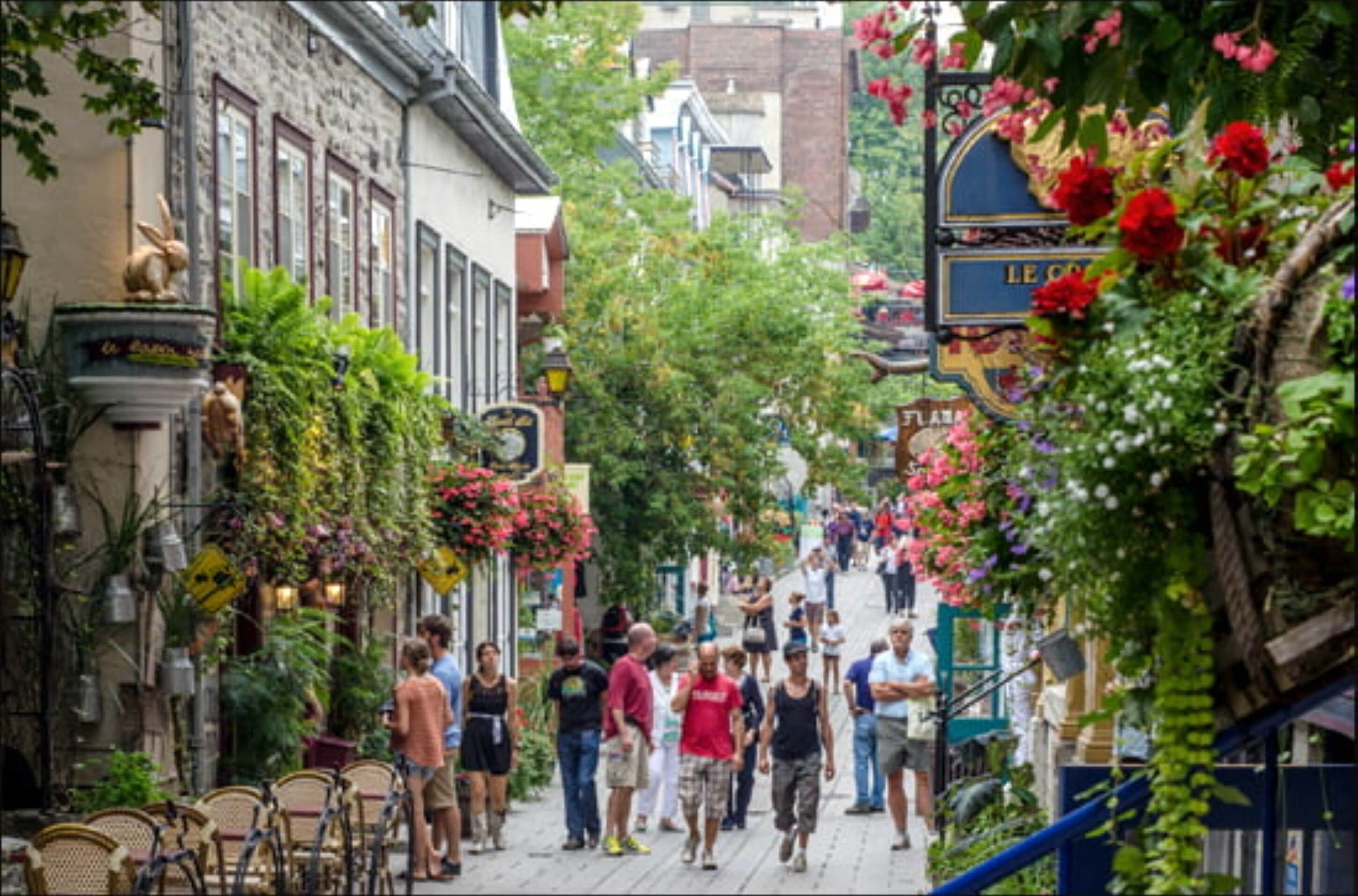 Een smalle straat met gebouwen, waarvan sommige borden en beplanting hebben.