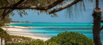 Beachfront White Palm Villa - Tar Bay