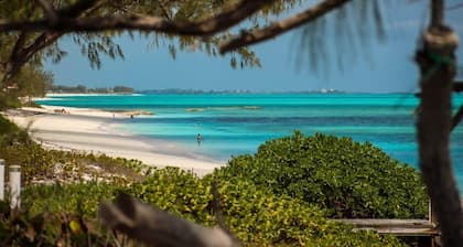 Beachfront White Palm Villa - Tar Bay