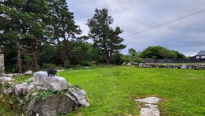 A grassy outdoor area with large rocks, a stone wall, and trees.