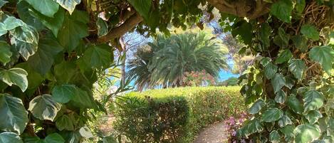 A stone staircase surrounded by lush greenery and a palm tree in the background.