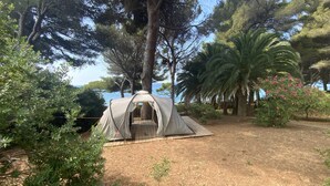 A tent set up in a natural area with trees and a clear sky. - The little House in Gigaro (La Croix-Valmer)
