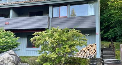 White Mtn. Escape across from Loon-Mtn. View-Pool-HotTub