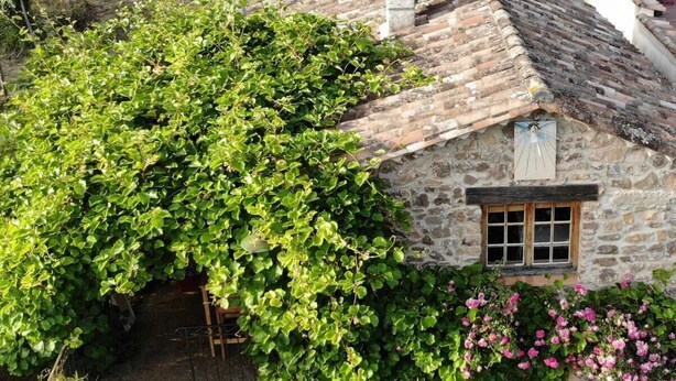 A stone house with a wooden staircase leading to a wooden door, surrounded by lush greenery and flowering plants. - Typical Cévenol Mazet with magnificent view (Saint jean du gard)