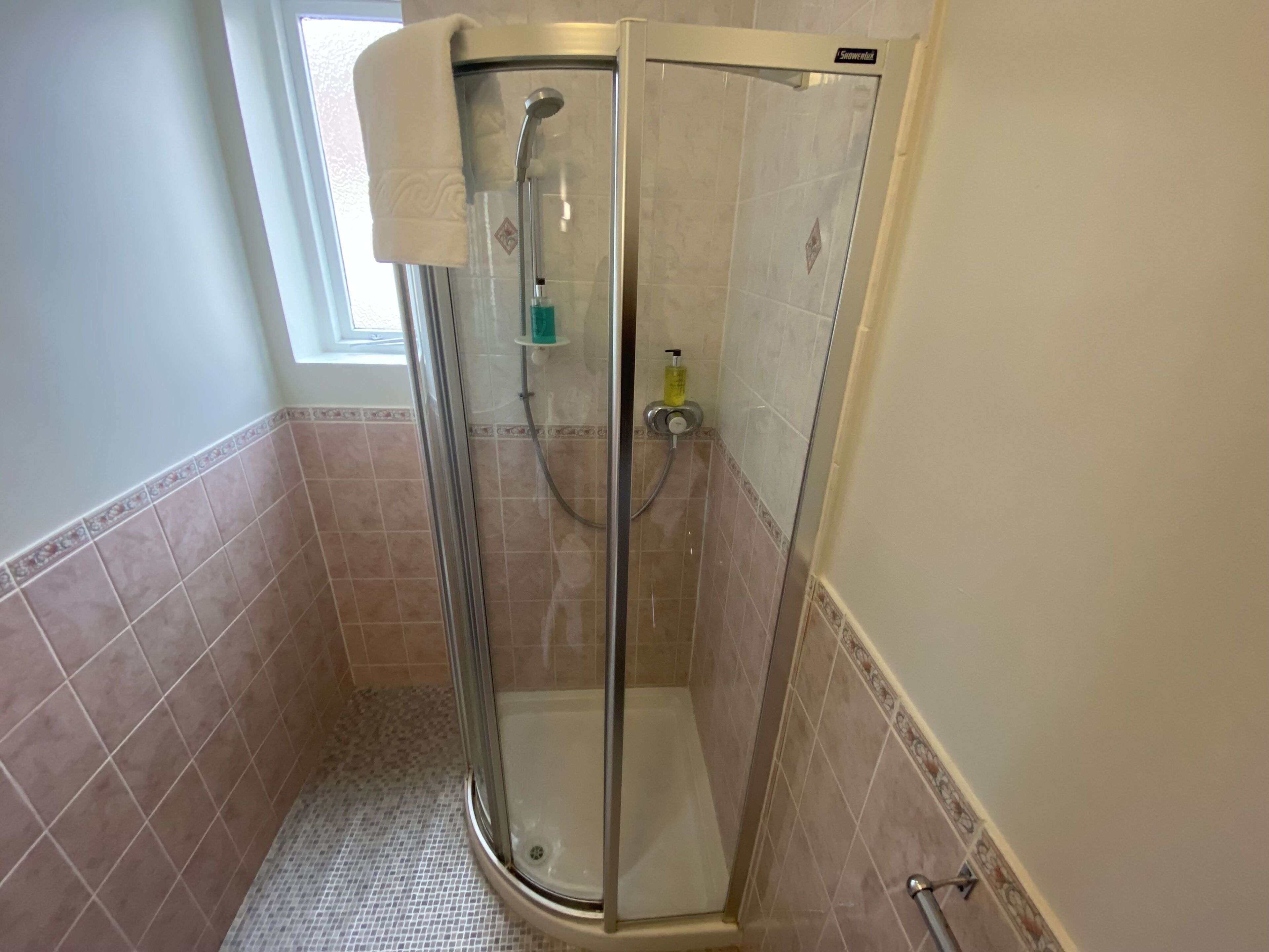 A glass-enclosed shower stall with a handheld showerhead, a handheld soap dispenser, and a glass door.