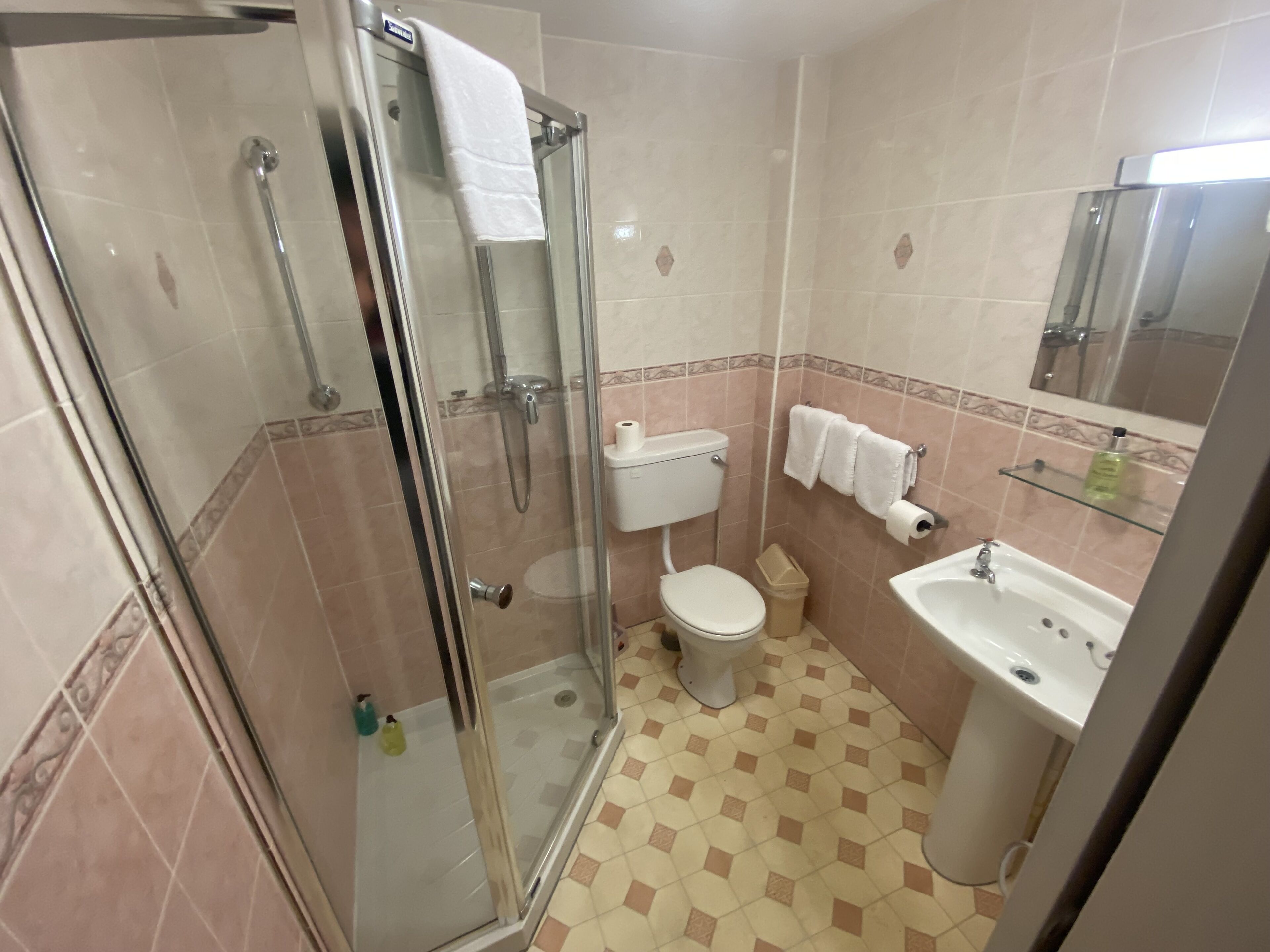 A bathroom with a glass shower enclosure, a toilet, a sink, and a mirror.