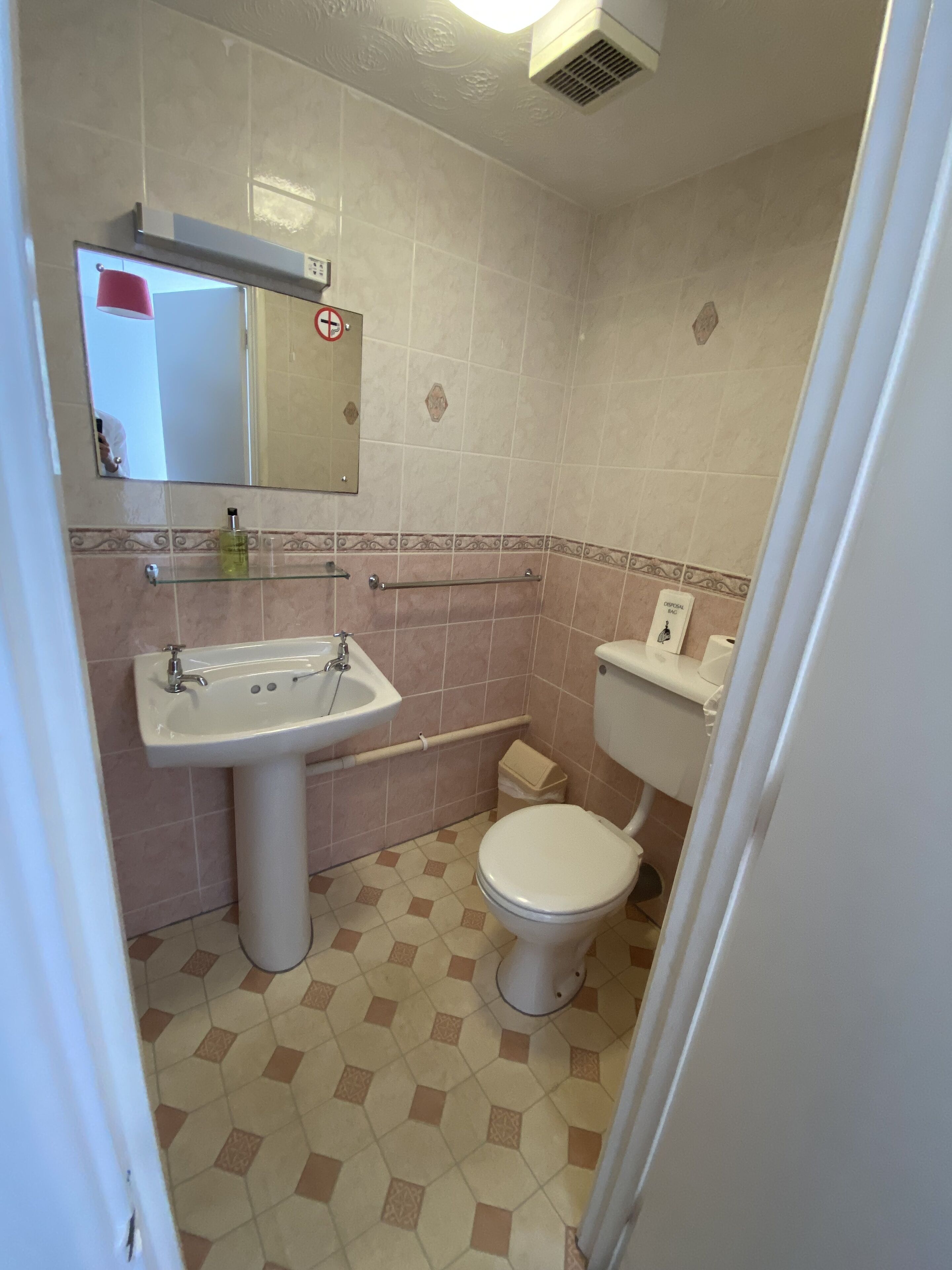 A bathroom with a pedestal sink, a toilet, and a mirror.