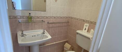 A bathroom with a pedestal sink, a toilet, and a mirror.