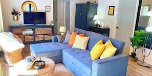 Smart TV, fireplace, books