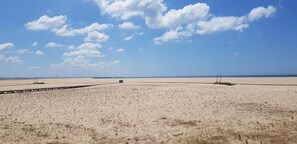 Lettini da mare