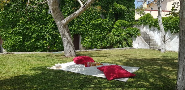 Terrain de l’hébergement 