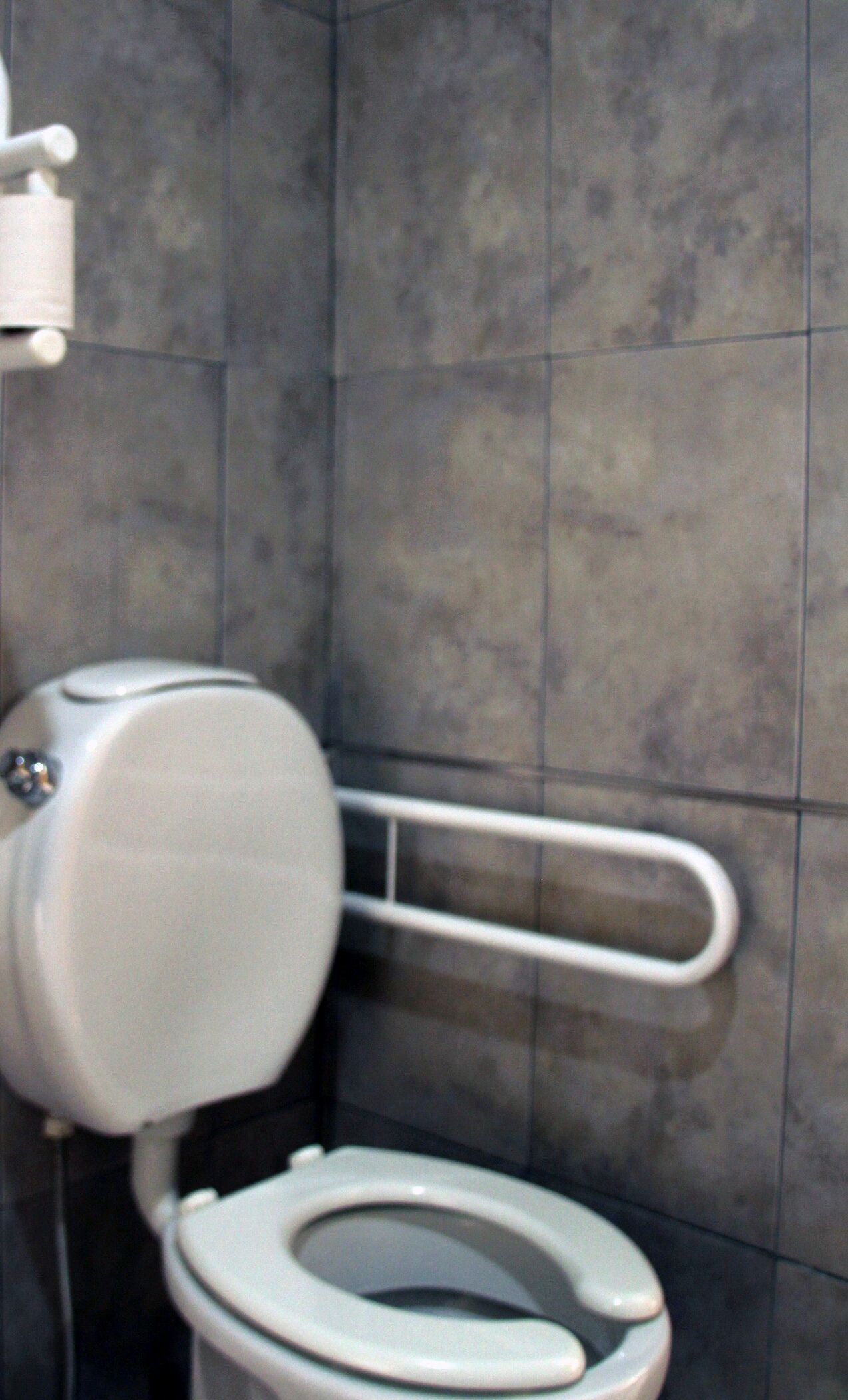 A toilet with a white seat and tank, a grab bar, and a wall-mounted toilet paper holder.