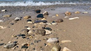 Una playa con piedras y rocas dispersas sobre la arena, que se extienden hacia el agua.