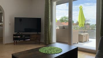 Smart TV, fireplace, books