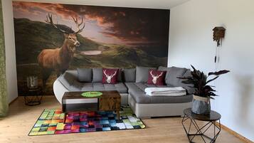 Smart TV, fireplace, books